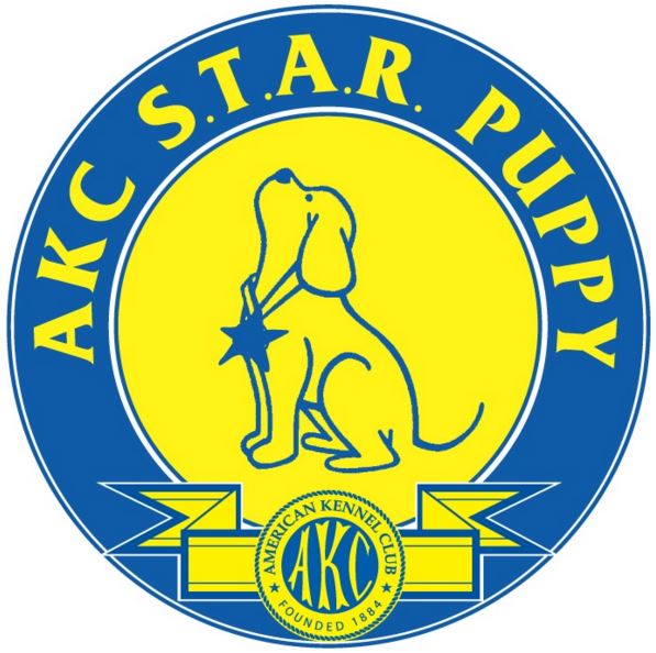 AKC Evaluator