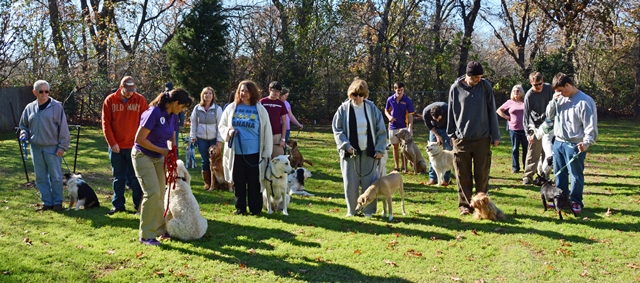 Group Dog Training